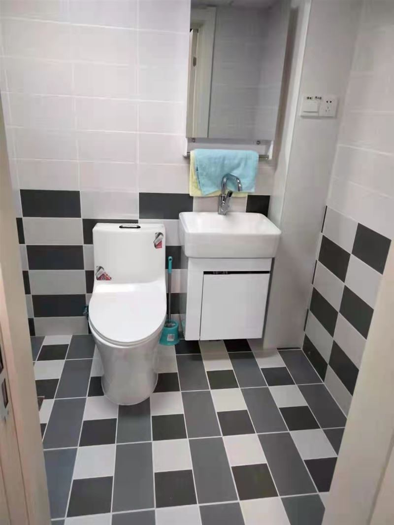 瓦工。測漏水